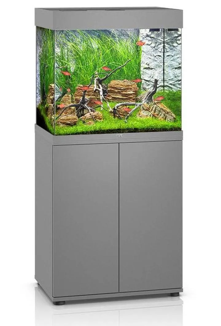 Rośliny akwariowe do 120l