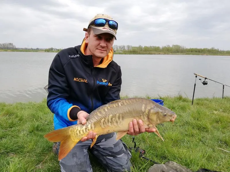 Różnorodność gatunków morskich