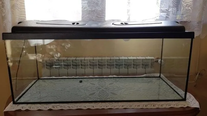 Ryby do akwarium 160l