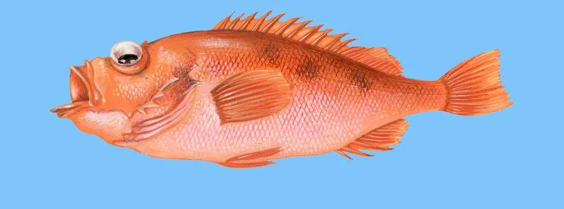 Techniki smażenia ryby