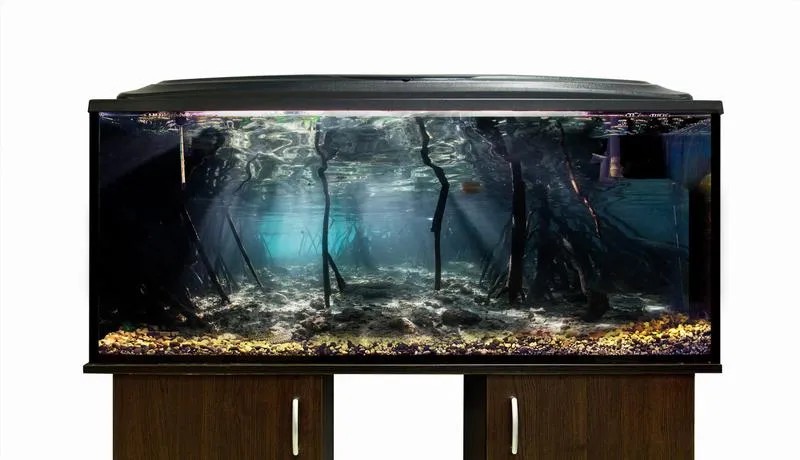 Tło strukturalne do akwarium