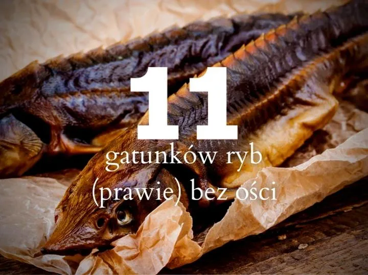 Top 5 ryb bez ości