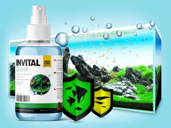 Usuwanie kamienia w akwarium