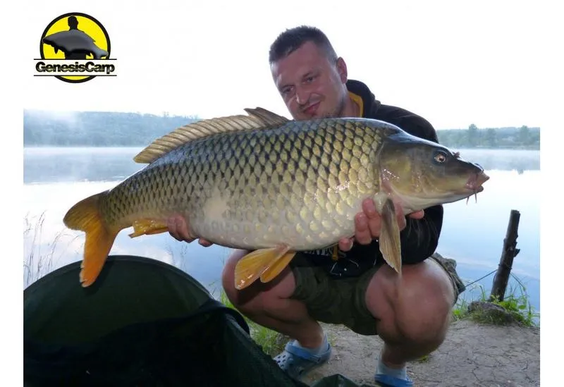 Wędka na szczupaka i sandacza