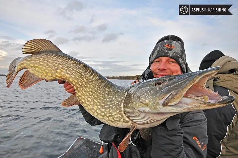 Wędkowanie w Holandii