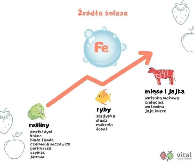 Właściwości odżywcze ryb