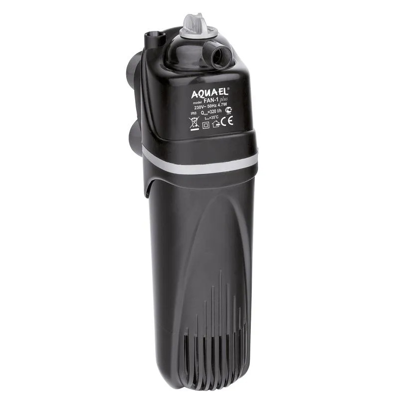 Zdrowe środowisko ryb